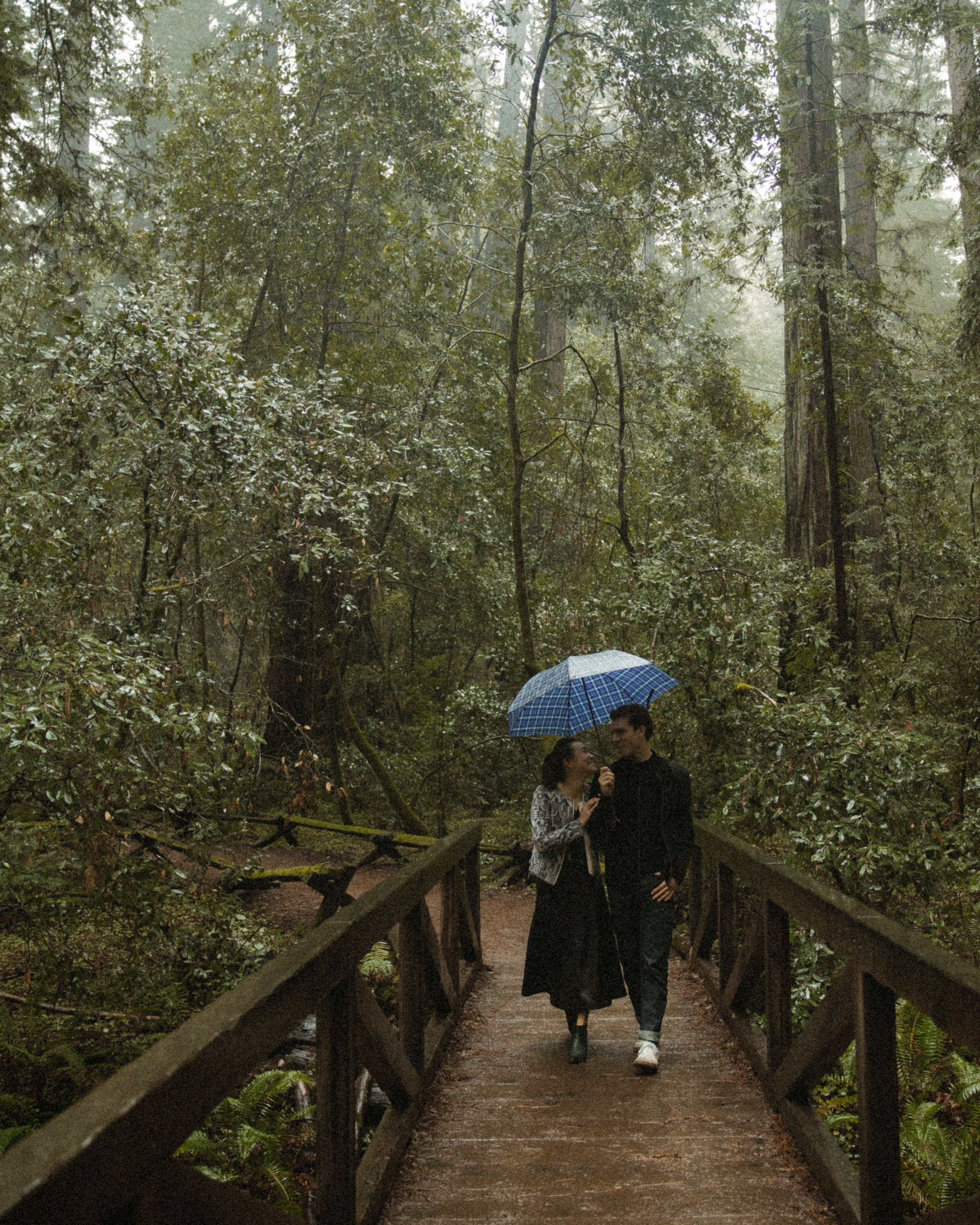 Laura and Eric under an umbrella on a footbridge in the redwoods